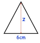 Area Of Triangle Word Problems