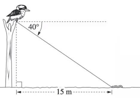 bearing-and-tri-q1