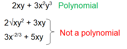 Polynomials Vocabulary