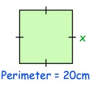 find-area-and-perimete-of-square-q11