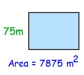 find-area-and-perimeter-of-square-q8