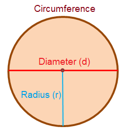 Find the Circumference of the Circle