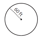 Find the Radius and Diameter of Each Circle