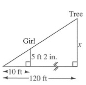 indir-meas-q2