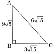 labelling-triangles-opp-adj-hypo-q1