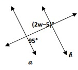 para-lines-traver-q10