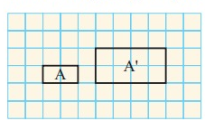 scale-factor-q1