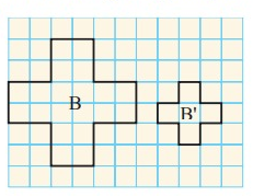 scale-factor-q4