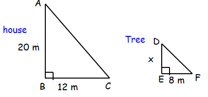 similar-triangle-indirect-measure-q10.png