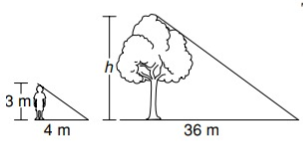 similar-triangle-q1