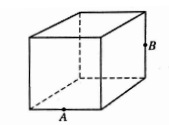 SAT-ques-geometry-q34.png